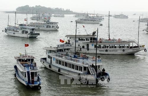 'Chặt chém' du khách, thuyền trưởng tàu du lịch bị cấm hoạt động trên vịnh Hạ Long ảnh 1